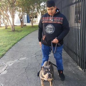 Meet your Posher, Moises